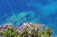 Capri Wather
